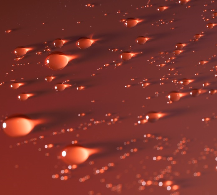 Protection step — paint sealant and UV protection